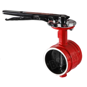 D81X-16Q Grooved Handle Butterfly Valve